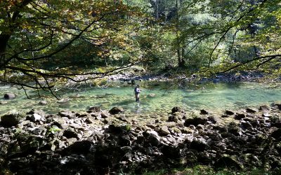 10 Planinarski pohod na izvor rijeke Kupe