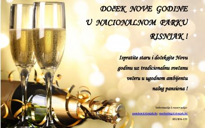 Doček nove 2015. godine!
