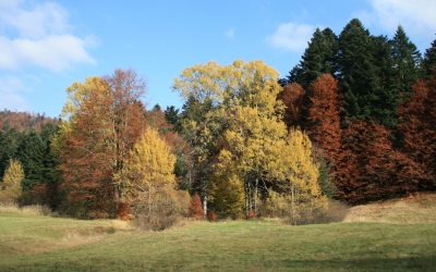 Natura 2000 – čuvamo što je priroda stvarala stoljećima