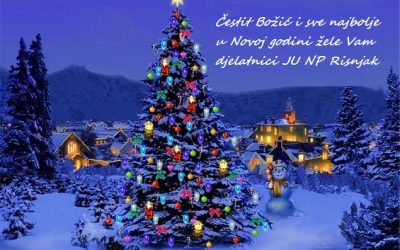 Želimo Vam čestit Božić i sretnu Novu godinu.