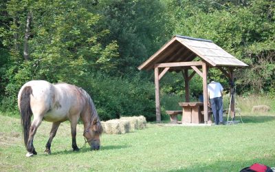 ODGOĐEN – Furmanski dan