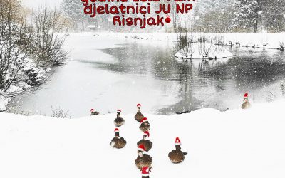 BLAGOSLOVLJEN BOŽIĆ I SRETNA NOVA 2021.