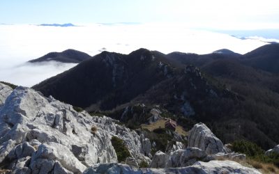 Podzakup Schlosserovog doma