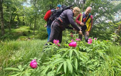 📣 Edukativni rujan u projektu transPlant – poziv na radionice iz zaštite prirode